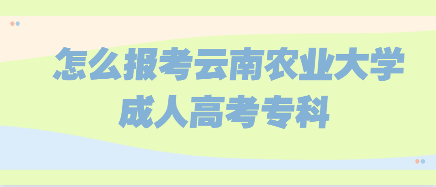 怎么報考云南農(nóng)業(yè)大學成人高考專科
