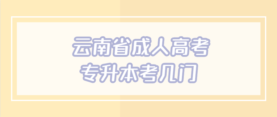 云南省成人高考專升本考幾門