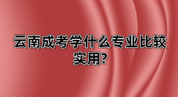 云南成考學什么專業比較實用?