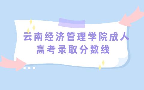 云南經(jīng)濟管理學院成人高考錄取分數(shù)線