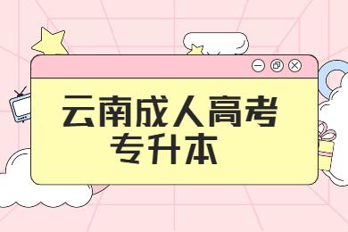 云南專(zhuān)升本