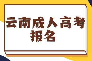 云南省招生考試院報名