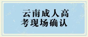 云南成人高考現場確認