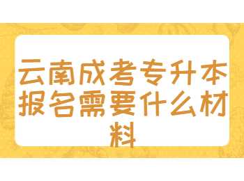 云南成考專升本