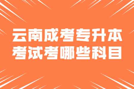 云南成考專升本