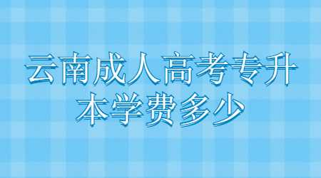 云南成人高考專升本學費