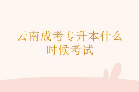 云南成考專升本