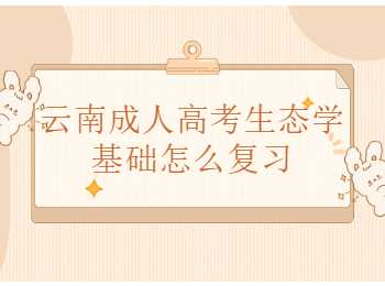 云南成人高考