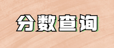 成人高考分?jǐn)?shù)查詢(xún)