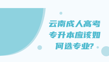 云南成人高考專升本