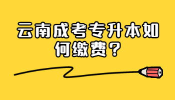 云南成考專升本如何繳費(fèi)