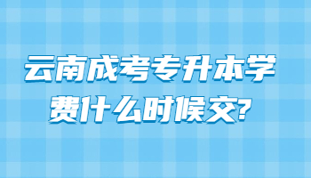 云南成考專升本學費什么時候交