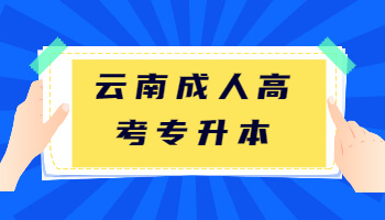 云南專升本報(bào)名