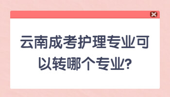 云南成考護(hù)理專(zhuān)業(yè)