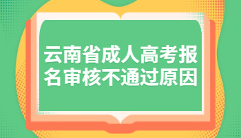 云南省成人高考報(bào)名審核