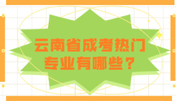 云南省成考熱門專業(yè)