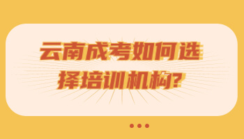 云南成考如何選擇培訓機構