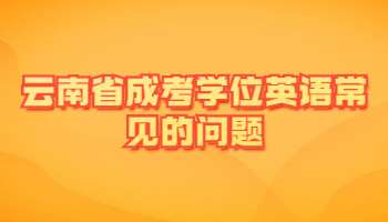 云南省成考學(xué)位英語