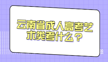 云南省成人高考藝術(shù)類(lèi)考什么