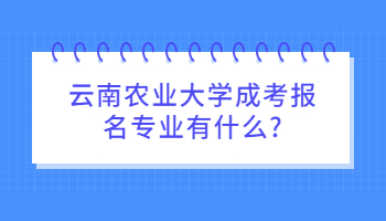 云南農(nóng)業(yè)大學(xué)成考報名專業(yè)