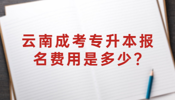 云南成考專升本報名費(fèi)用