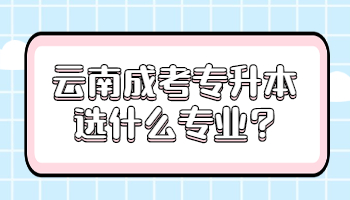 云南成考專升本選什么專業