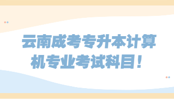 云南成考專升本計算機專業