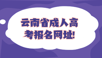 云南省成人高考報名網