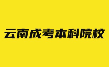 2024年云南省成考有哪些本科院校可以選擇？