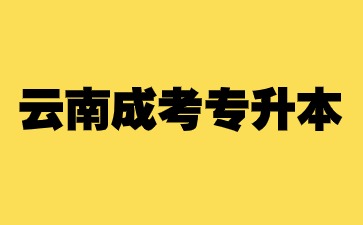 云南成考專升本與專本套讀有什么區別？