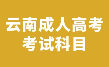 2024年云南成人高考考試一定要考英語科目嗎？