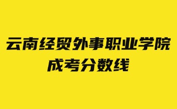 2024年云南經貿外事職業學院成考錄取分數線？