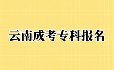 2024年云南成考專科可以報(bào)名哪些專業(yè)？