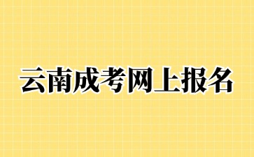 2024年云南成考網上報名可以進行補報嗎？
