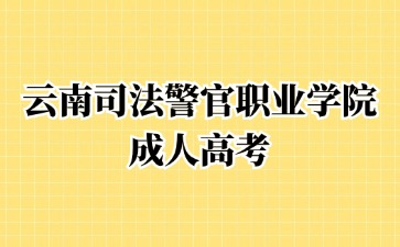 2024年云南司法警官職業學院成考畢業學歷怎么查詢？