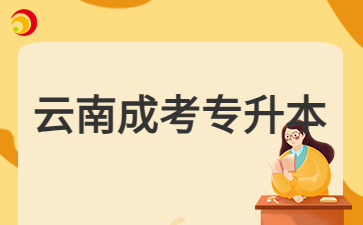 2024年云南成考專升本學(xué)士學(xué)位申請要求？